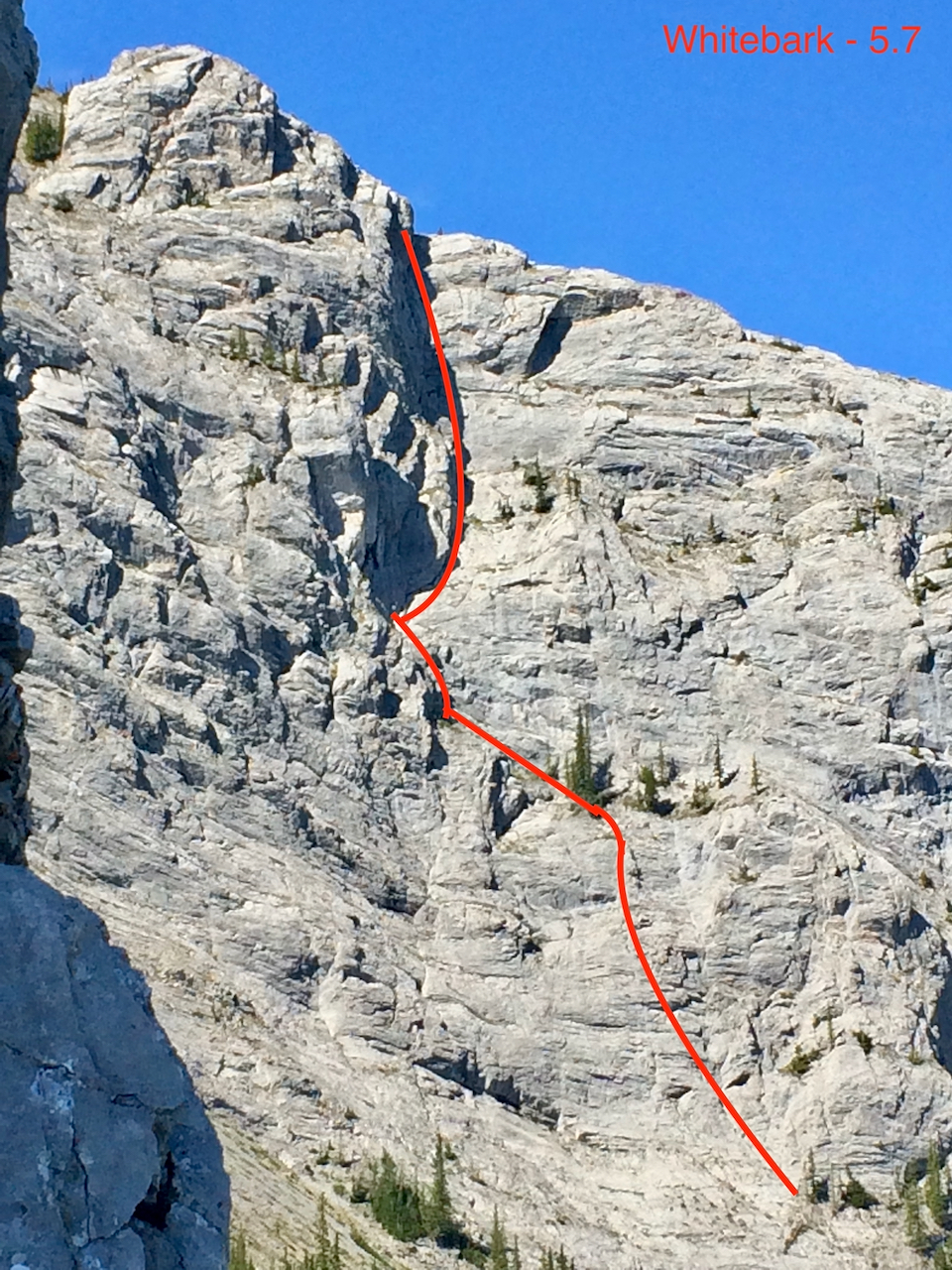 Whitebark climb from Wasootch Tower