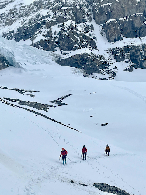 Glacier travel skills between Mt. Athabasca and Andromeda